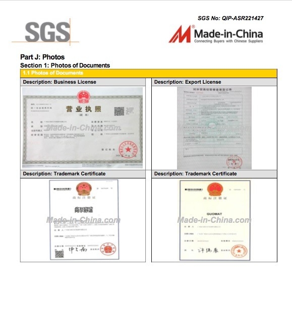 LA CHINE Guangzhou Guomat Air Spring Co., Ltd. certifications